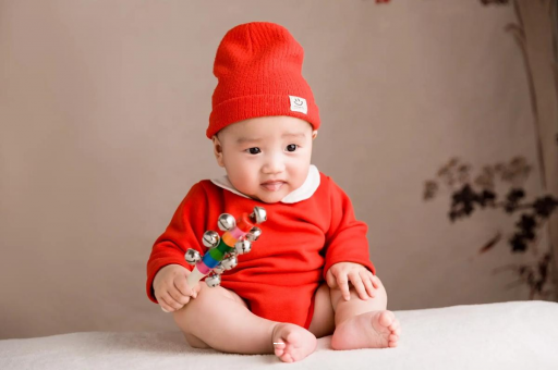 景德镇宝宝餐椅哪种最实用